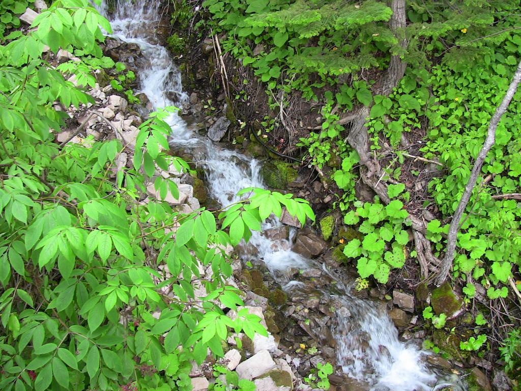 La Source Enchantée Baie-Saint-Paul Camera foto